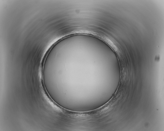 X0000094221084200711021134