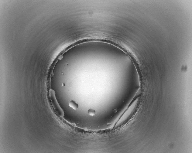 X0000094221085200711021134