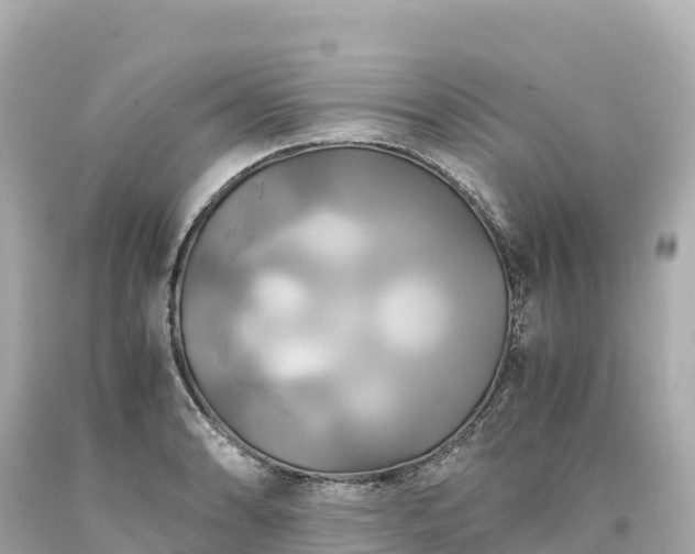 X0000094221086200711021134