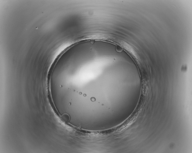 X0000094221087200711021134