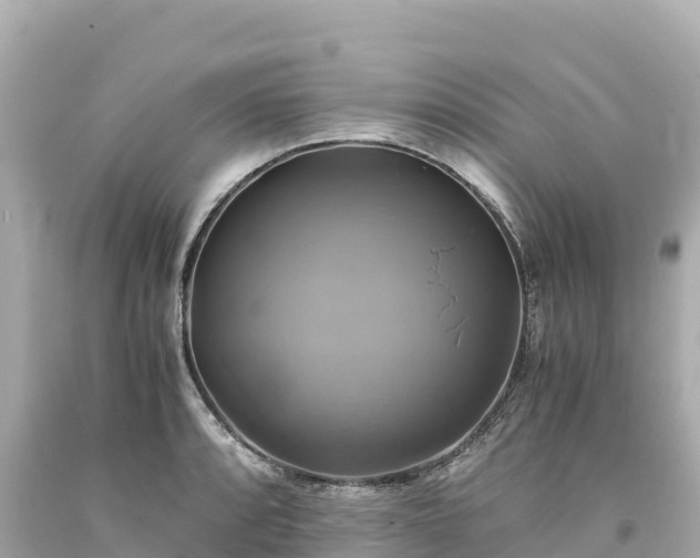 X0000094221088200711021134