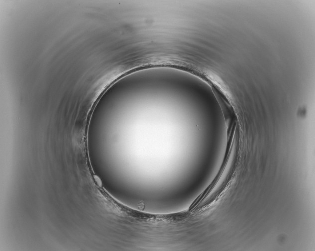 X0000094221089200711021134