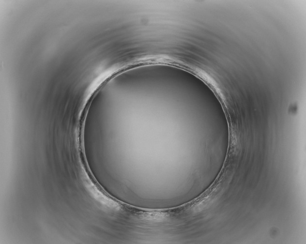 X0000094221090200711021134