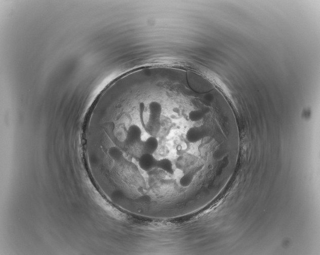 X0000094221091200711021134