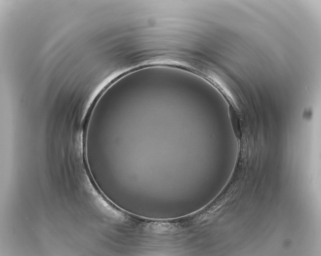 X0000094221092200711021134