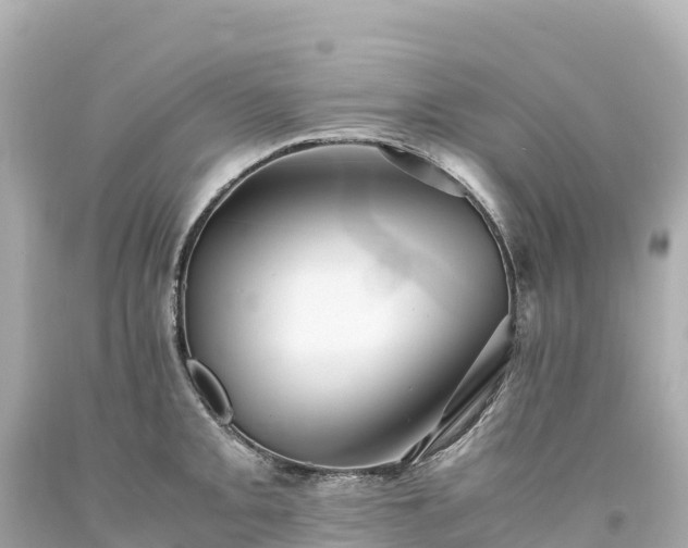 X0000094221093200711021134