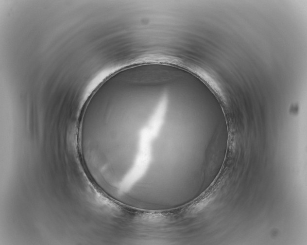 X0000094221094200711021134