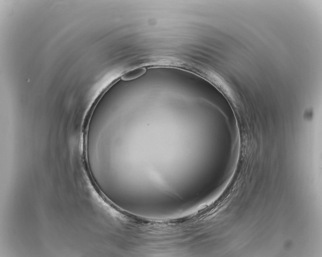 X0000094221095200711021134