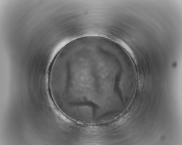 X0000094221096200711021133