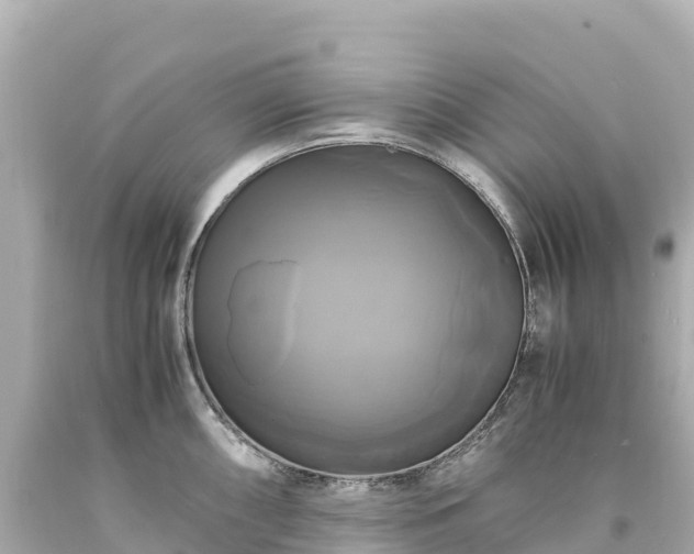 X0000094221098200711021133