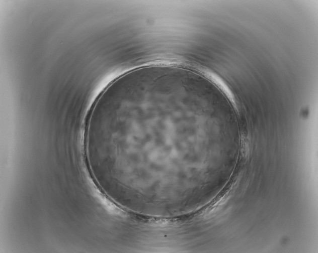 X0000094221099200711021133