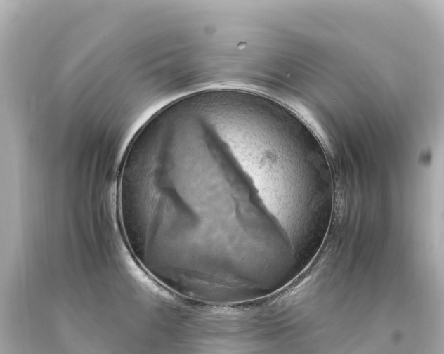 X0000094221100200711021133