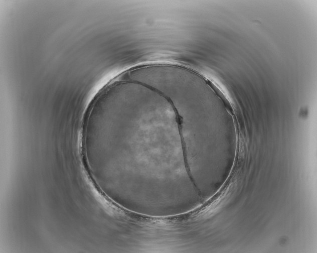 X0000094221101200711021133