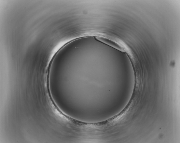 X0000094221102200711021133