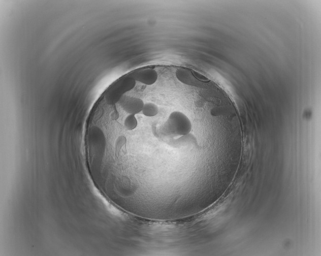 X0000094221103200711021133