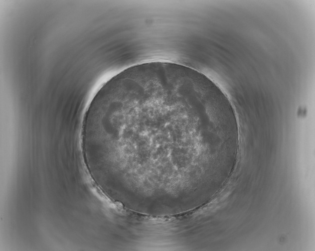 X0000094221104200711021133