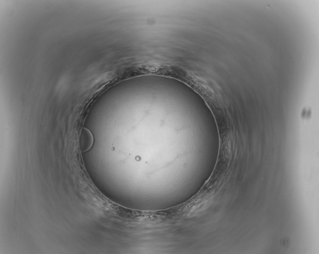 X0000094221105200711021133