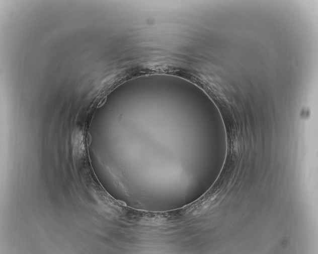 X0000094221106200711021133