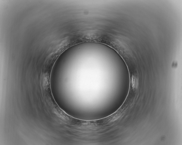 X0000094221107200711021133