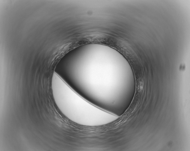 X0000094221108200711021133