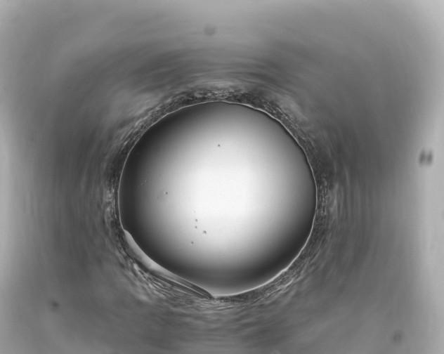 X0000094221109200711021133