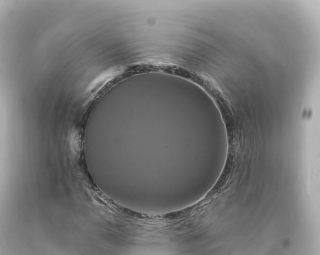 X0000094221110200711021133