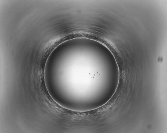 X0000094221111200711021133