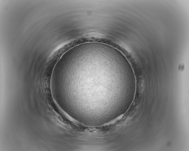 X0000094221112200711021133