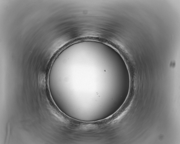 X0000094221113200711021133