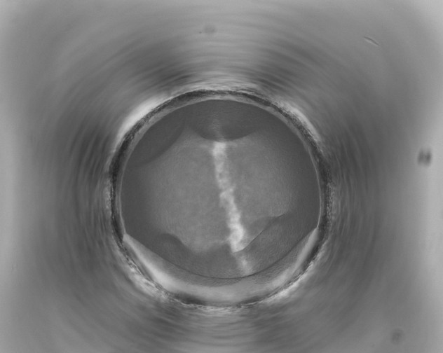 X0000094221114200711021133