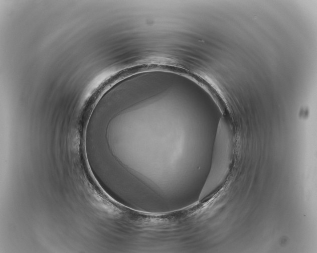 X0000094221115200711021133