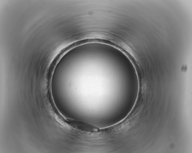 X0000094221116200711021133