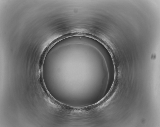 X0000094221117200711021133