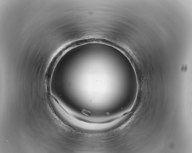 X0000094221118200711021133