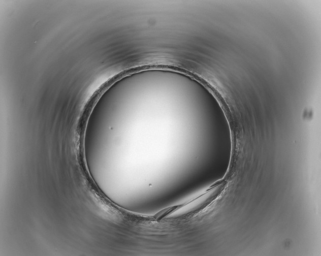 X0000094221119200711021133