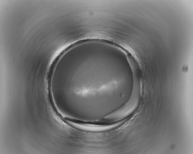 X0000094221120200711021133