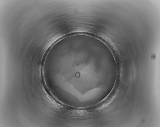 X0000094221121200711021133