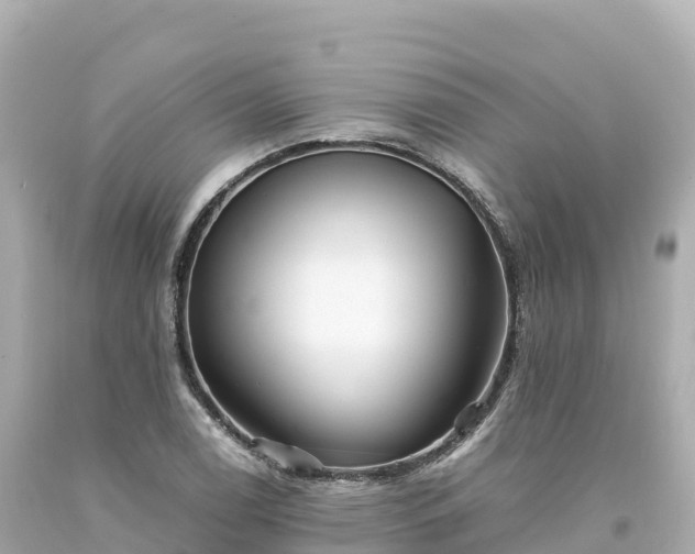 X0000094221122200711021133