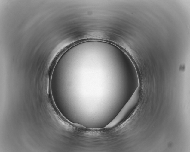 X0000094221123200711021133