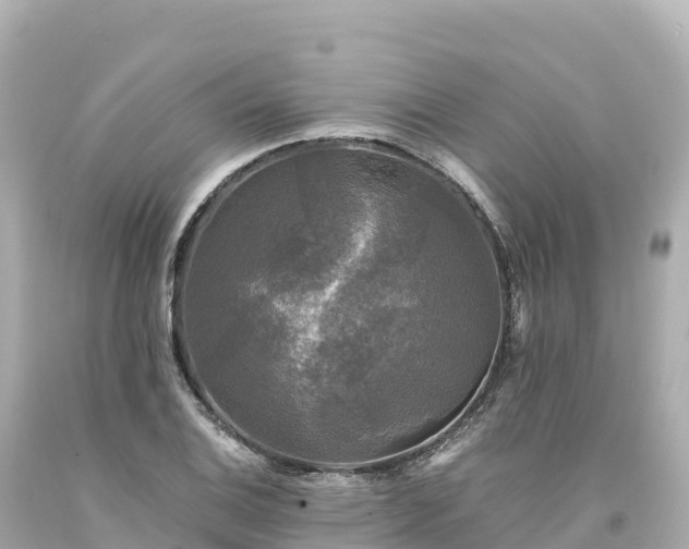 X0000094221124200711021133