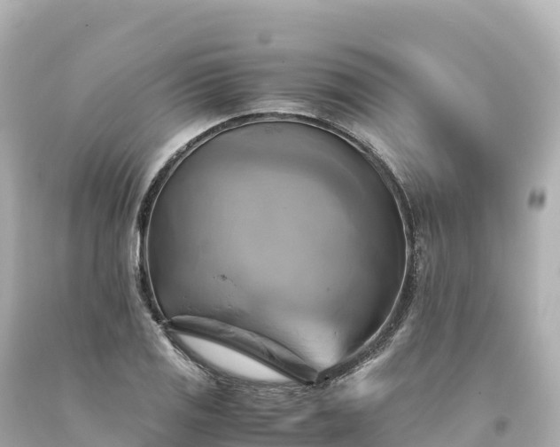 X0000094221125200711021133