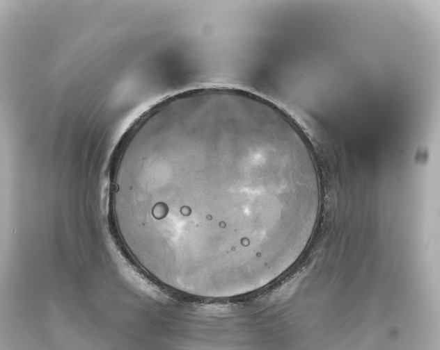 X0000094221126200711021133