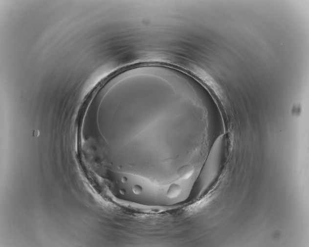 X0000094221127200711021133