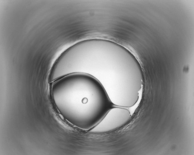 X0000094221128200711021133