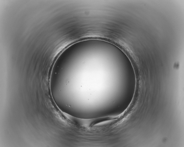 X0000094221129200711021133