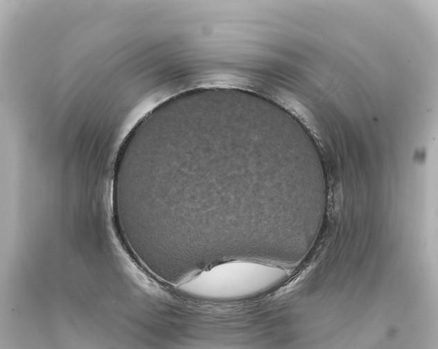 X0000094221130200711021133