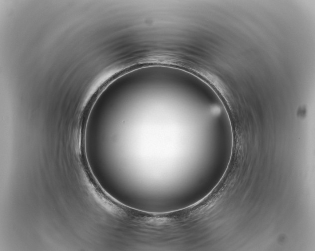 X0000094221131200711021133