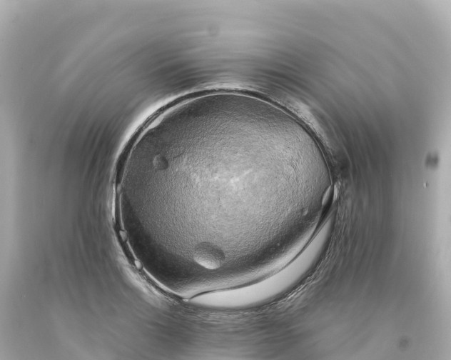 X0000094221132200711021133