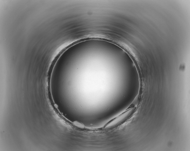 X0000094221133200711021133