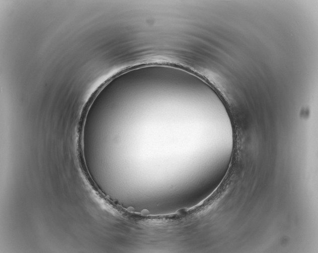 X0000094221134200711021133